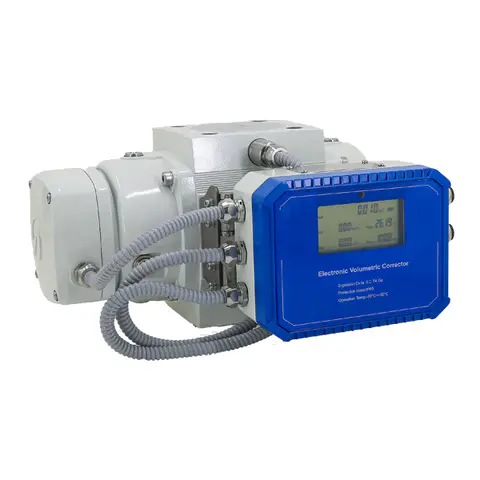 LLQ-Gas Roots Flow Meter